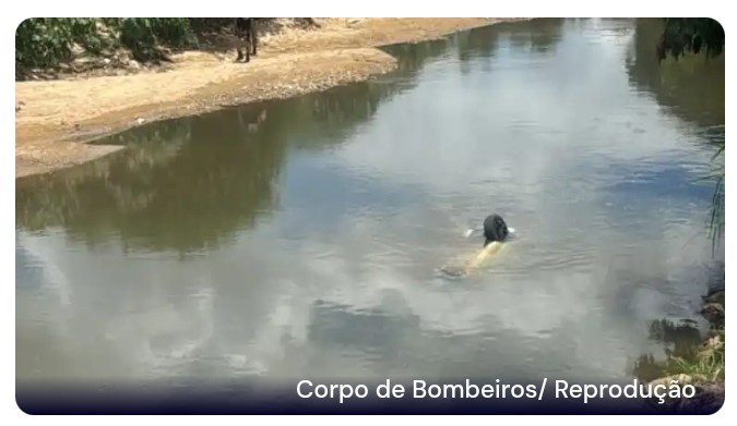 Em rota de fulga, homem cai e morre no Ribeirão do Onça