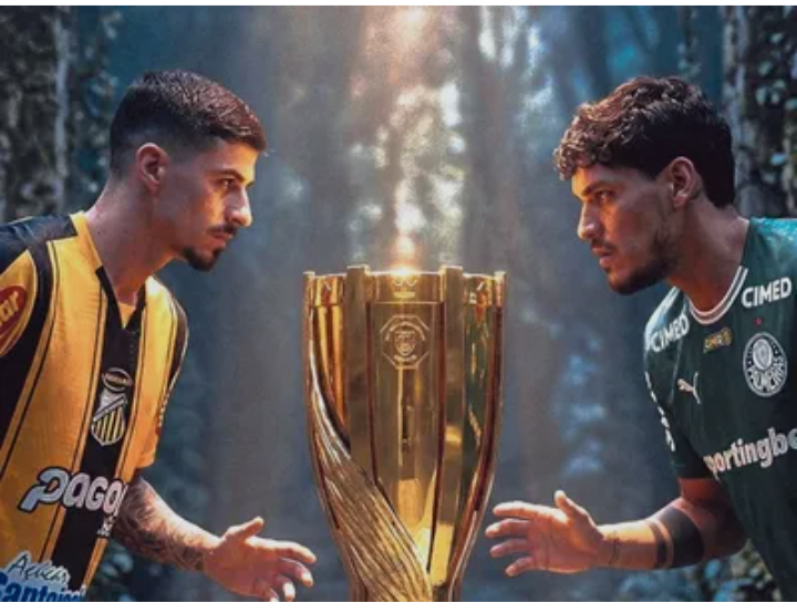 Novorizontino e Palmeiras farão a grande final do Campeonato Paulista